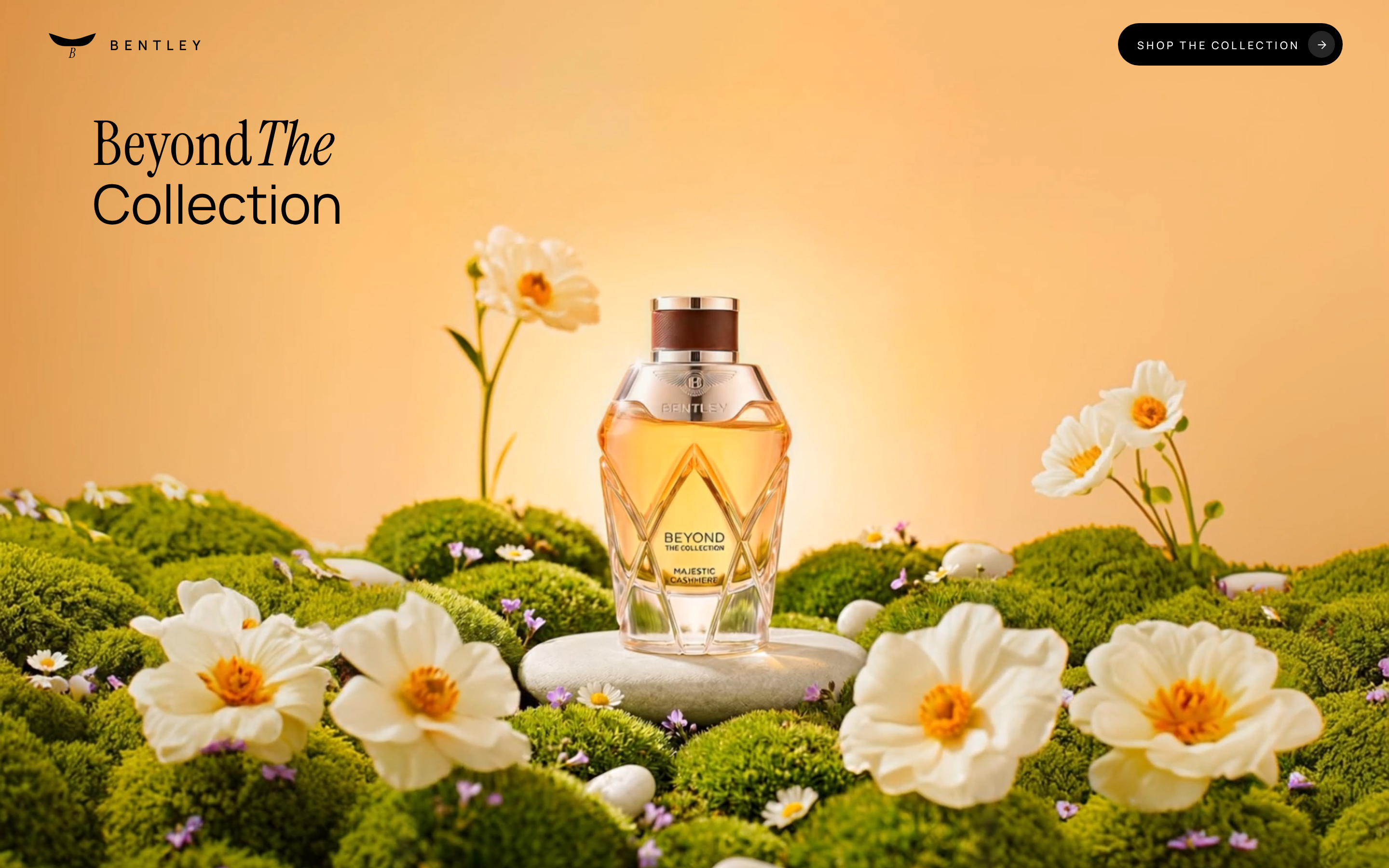 Luxury Botanical — Beyond The Collection preview